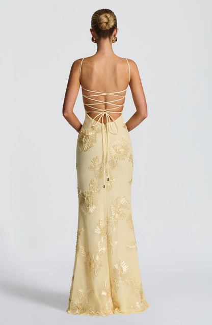 Velour Maxi Dress